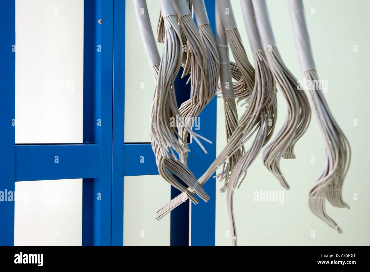 Plafond suspendu à des câbles Ethernet en attente d'installation. Banque D'Images