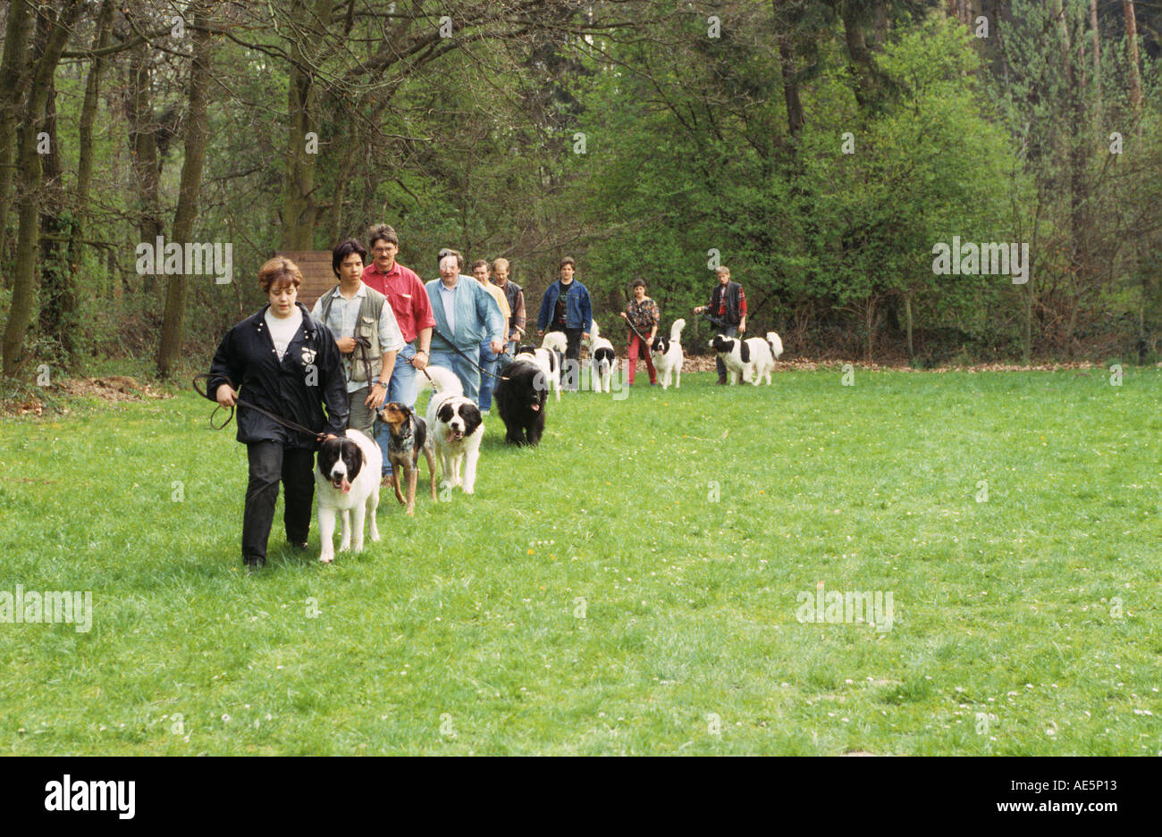 L'éducation de chien : les personnes ayant des chiens sur la masse de forage Banque D'Images