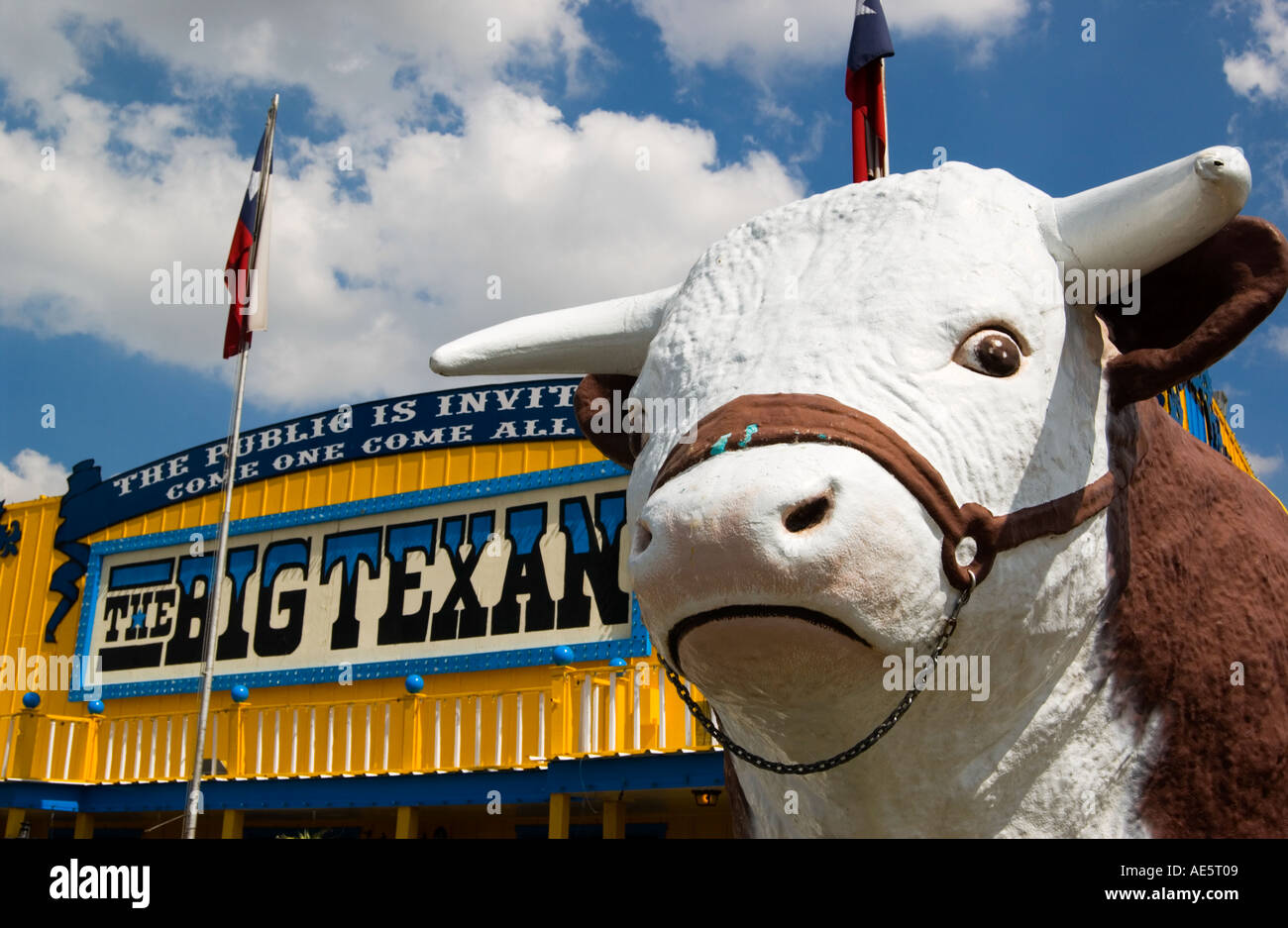 Vache debout à côté de l'emblématique panneau Big Texan Steak Ranch à Amarillo, Texas, États-Unis. Banque D'Images