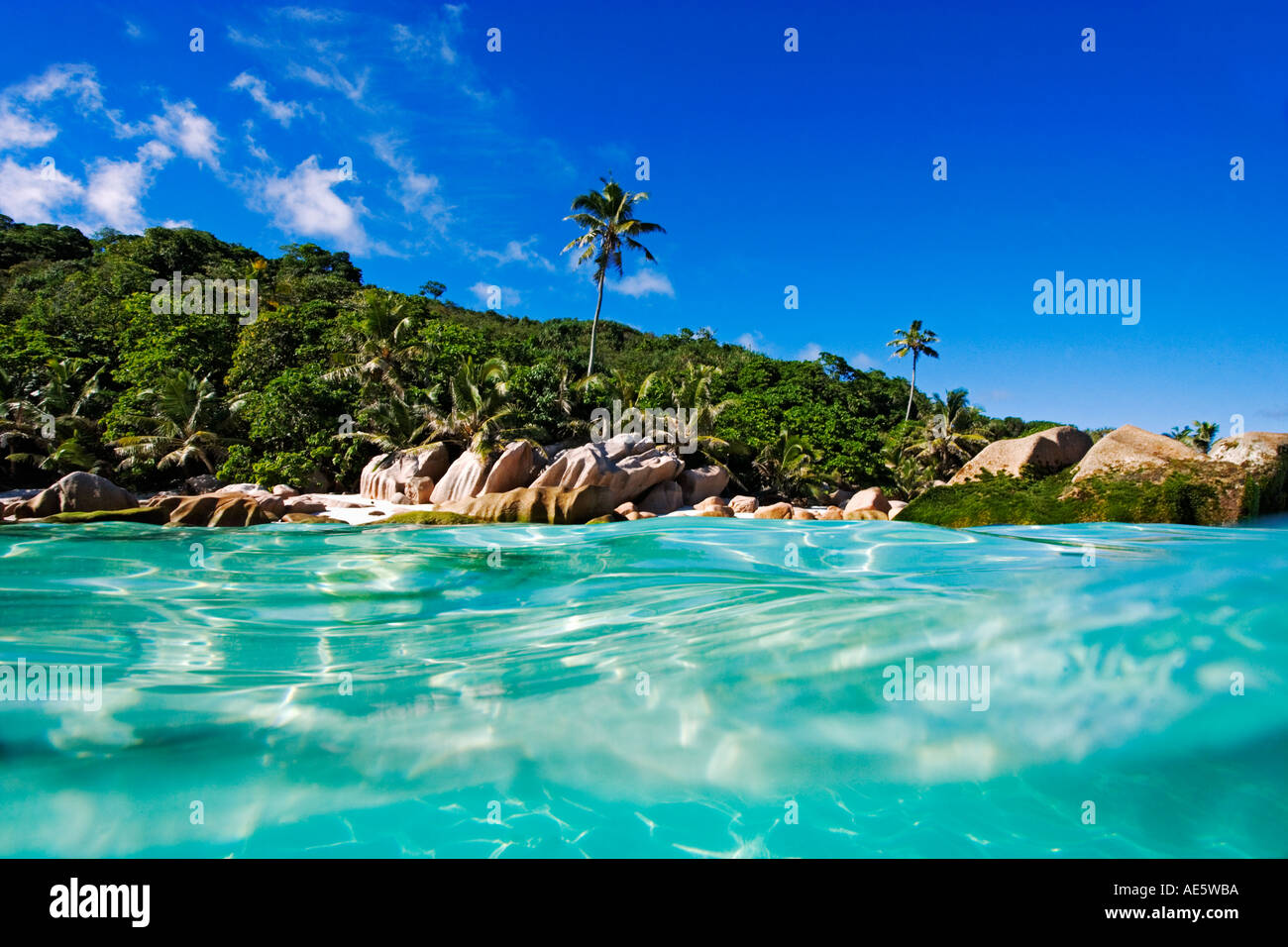 Vue sur la plage de la mer parution bien Cousine Island Seychelles Banque D'Images