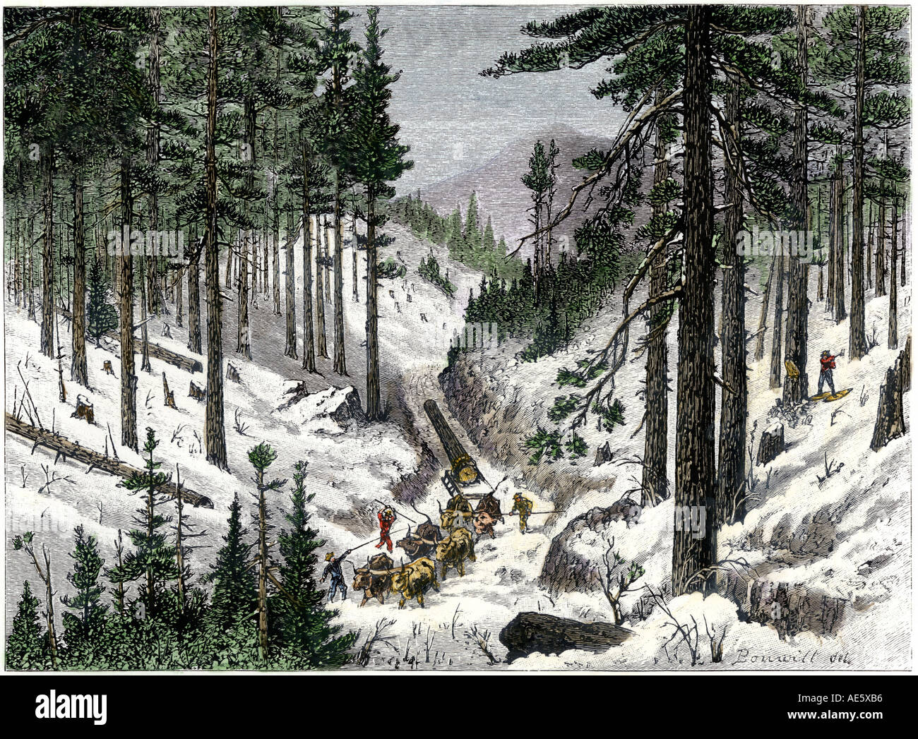 Début d'exploitation forestière dans les Montagnes Blanches du Maine ou du New Hampshire. À la main, gravure sur bois Banque D'Images