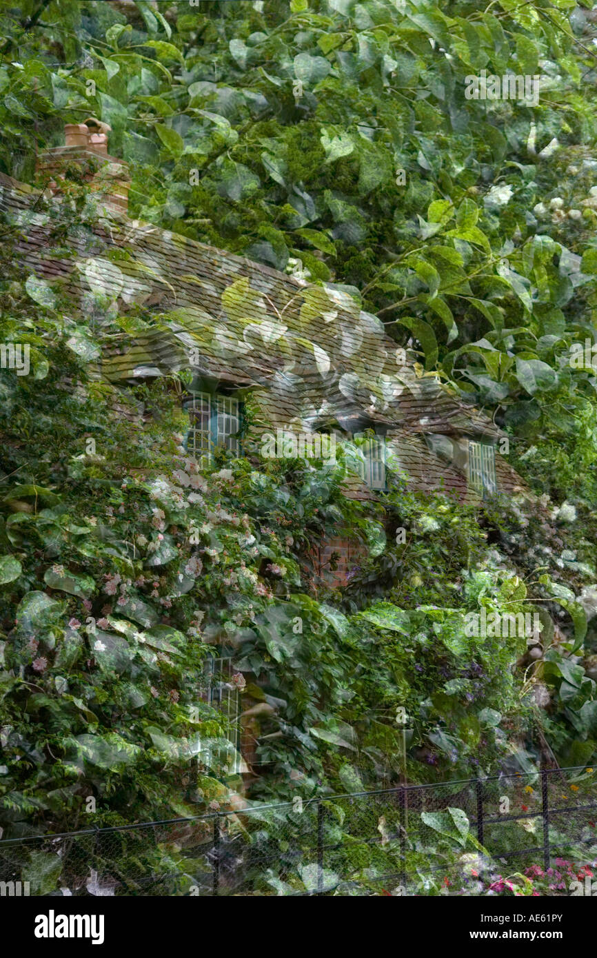 Fantomatique caché chalet dans une forêt luxuriante Banque D'Images
