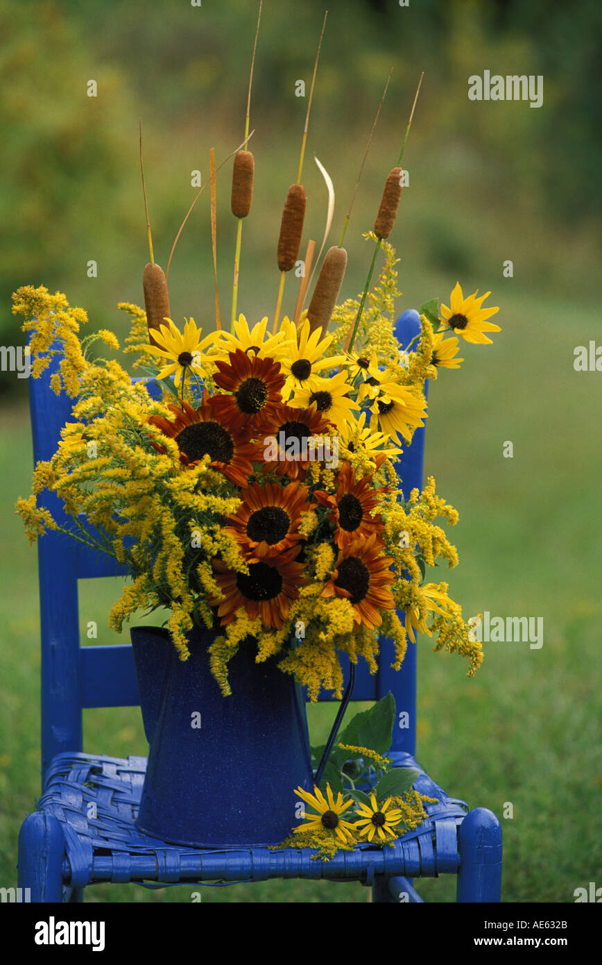 Cafetière en émail bleu détient un arrangement automne sauvage de verge, la quenouille et la rudbeckie, président bleu sur Susans Midwest USA Banque D'Images