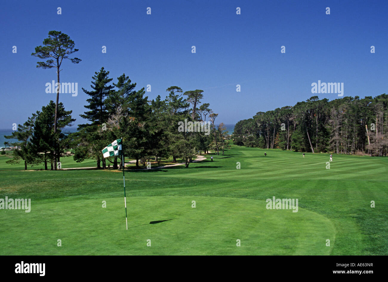 Le Livre vert sur le sixième trou de golf SPYGLASS, à PEBBLE BEACH sur la péninsule de Monterey en Californie Banque D'Images