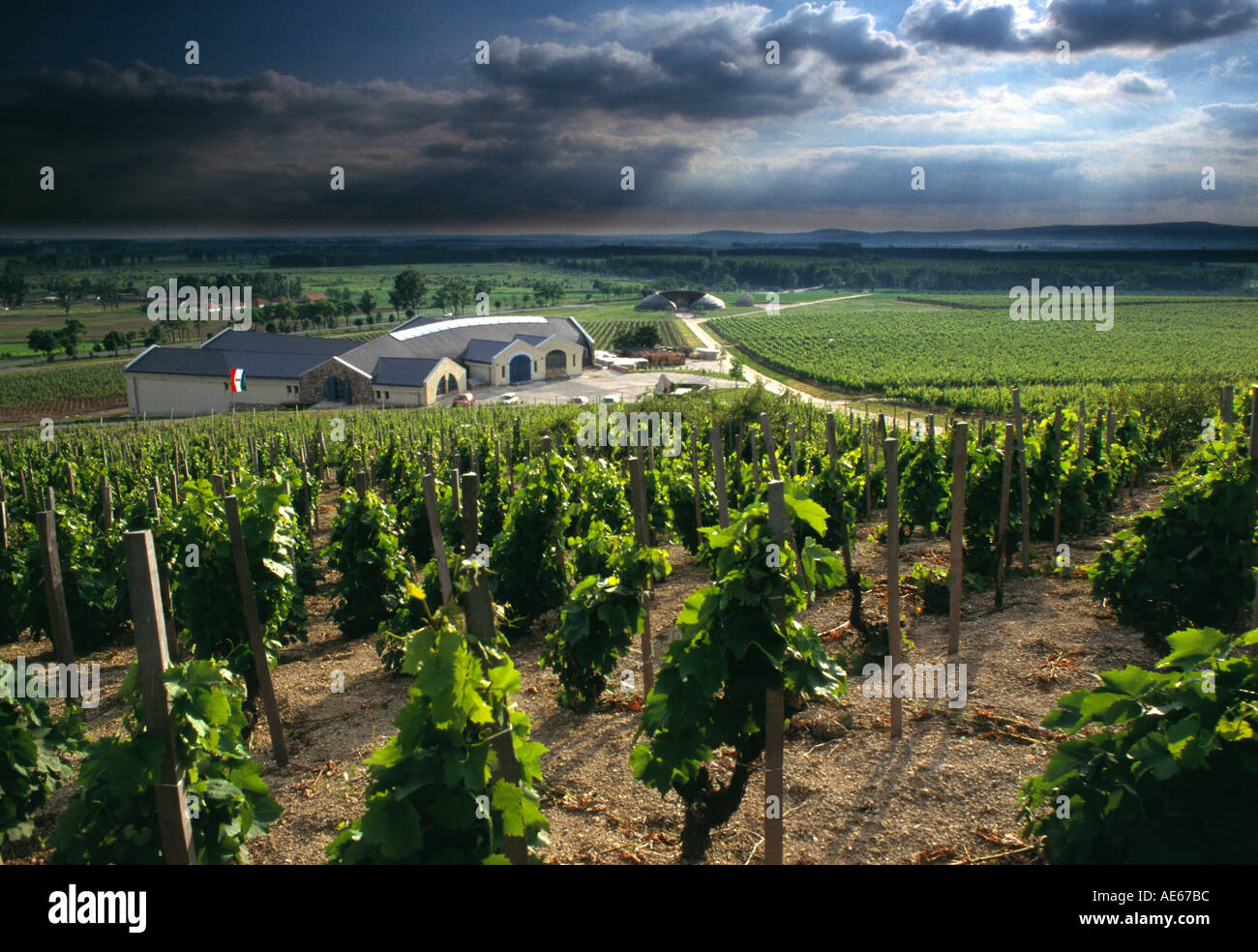 Propriété française moderne dans la région de Tokai winery Hongrie Banque D'Images