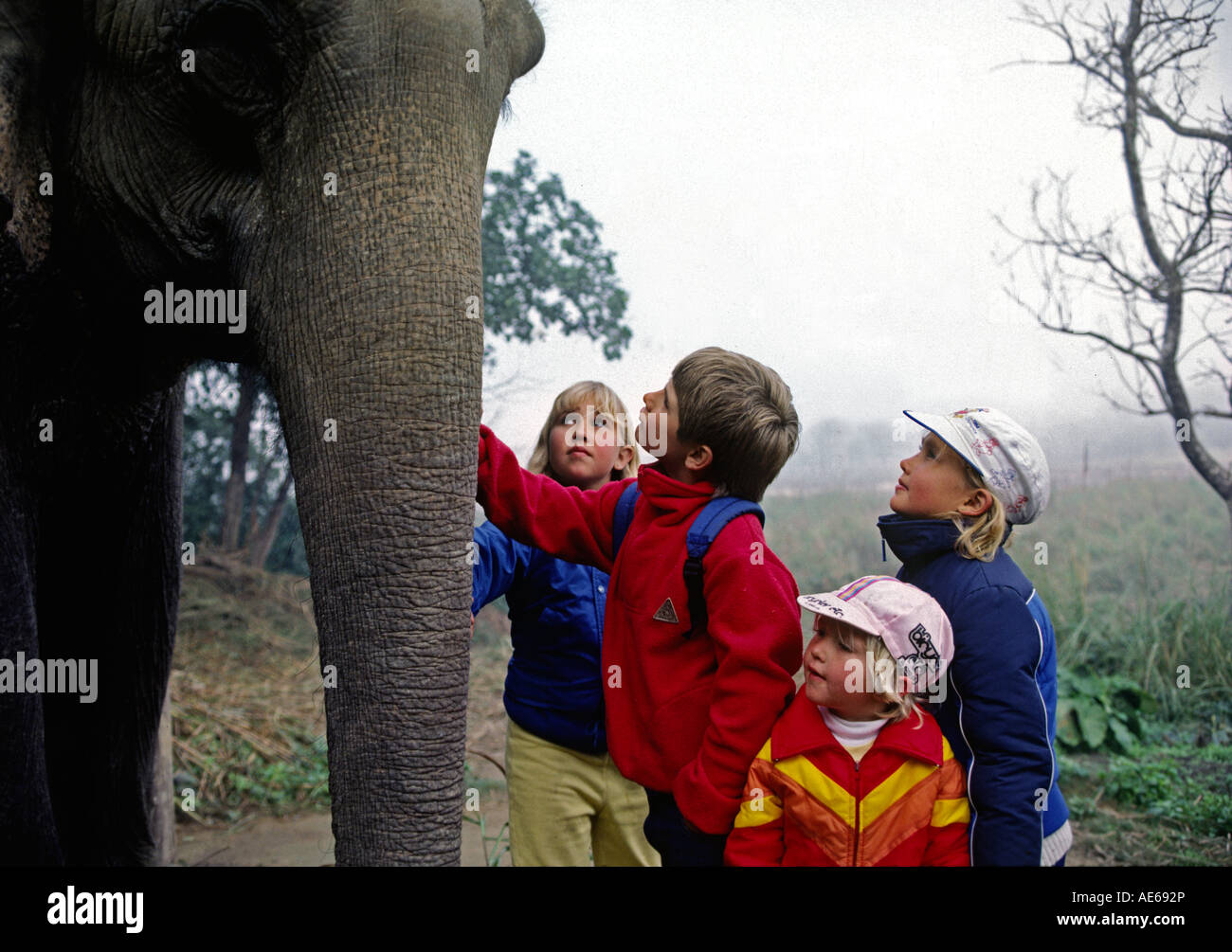 Garrett Bodhi et amis animal un éléphant à Tigertops Lodge dans le parc national de Chitwan NÉPAL TERAI Banque D'Images