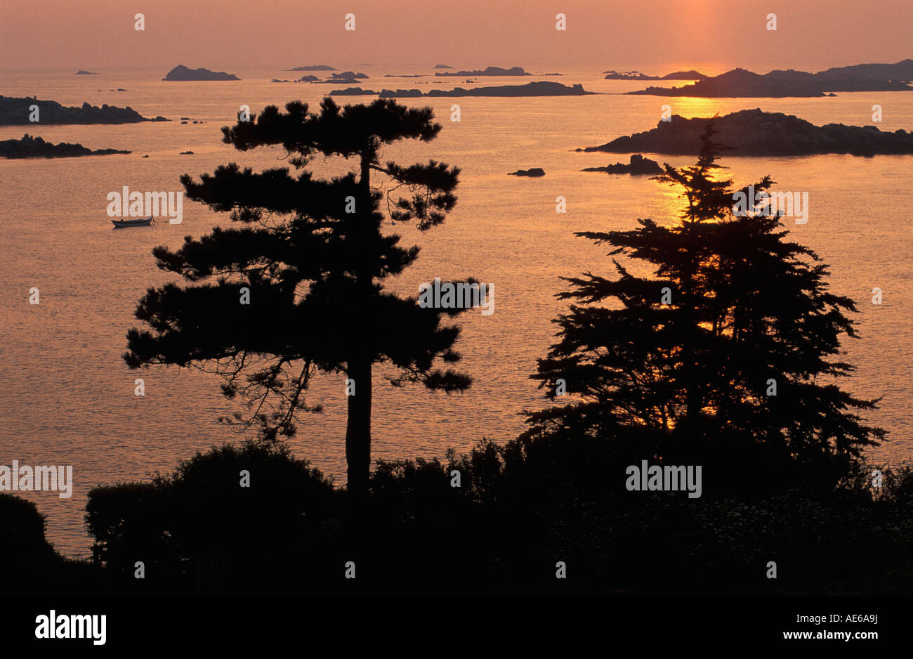France Normandie Île Chausey Basse Normandie Silhouette d'arbres avec seascape au lever du soleil Banque D'Images