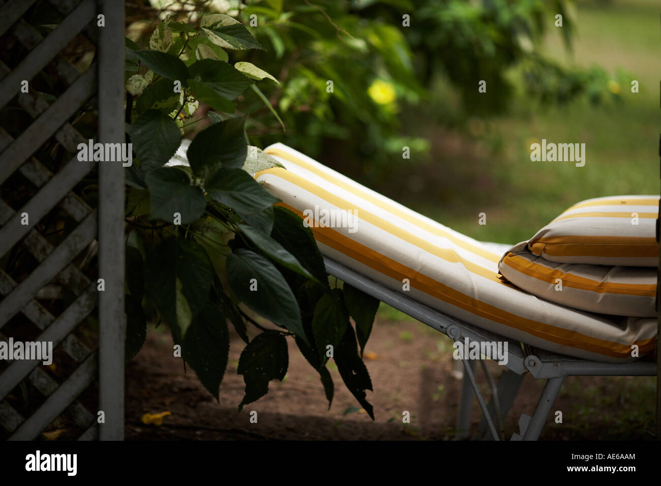 Chaise de jardin jaune dans l'herbe en jardin à l'Montpelier Plantation St Kitts et Nevis Îles Caraïbes Antilles Banque D'Images