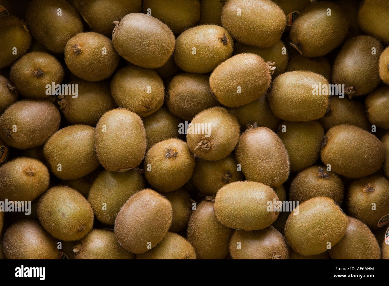 Pile de ripe uncut kiwi fruits Banque D'Images