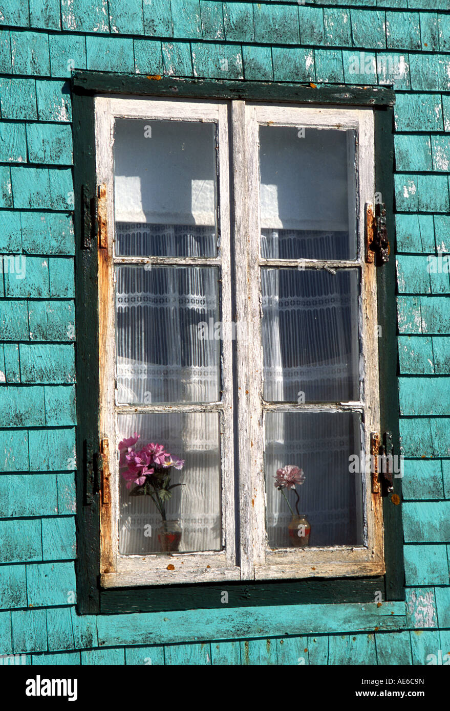 Fenêtre avec des rideaux de dentelle, Ile aux marins, Saint Pierre Banque D'Images