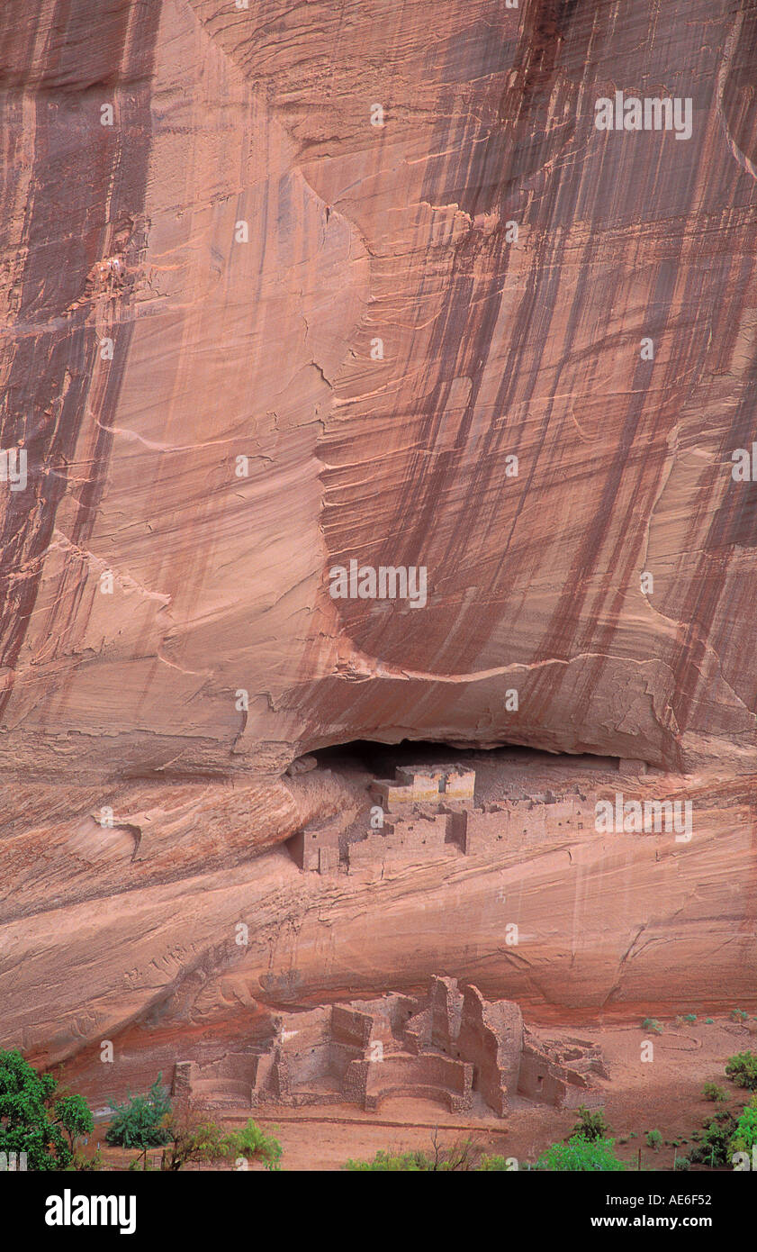 Les ruines anciennes ruines de la Maison Blanche un village construit par les Indiens Anasazi près de mille ans, à l'Arizona Canyon de Chelly Banque D'Images