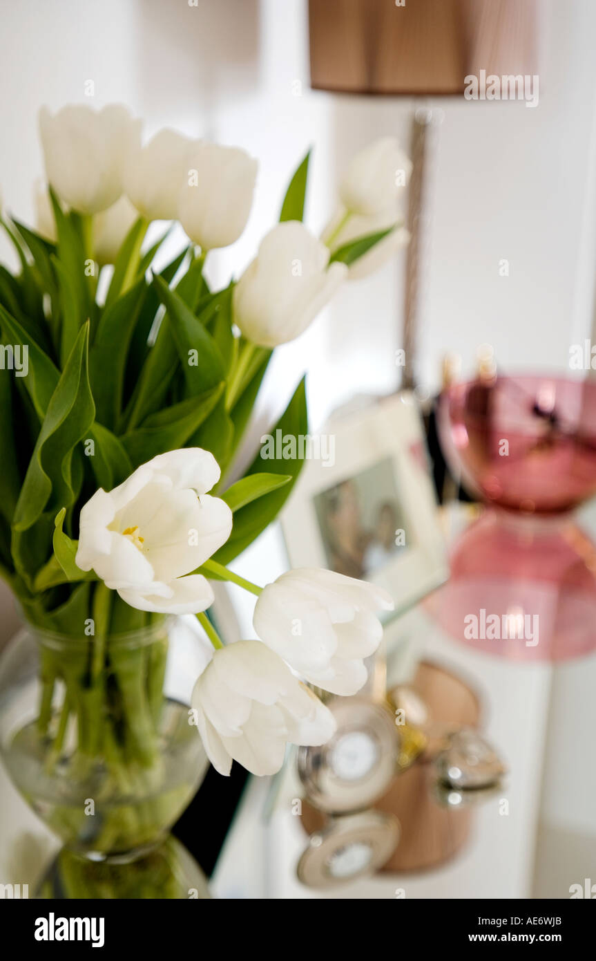 Tulipes blanches dans un vase de verre Banque D'Images