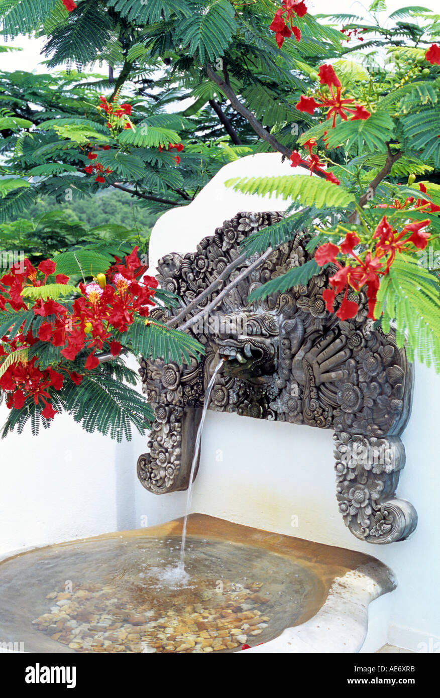 Fleurs tropicales rouges par une fontaine décorative Banque D'Images