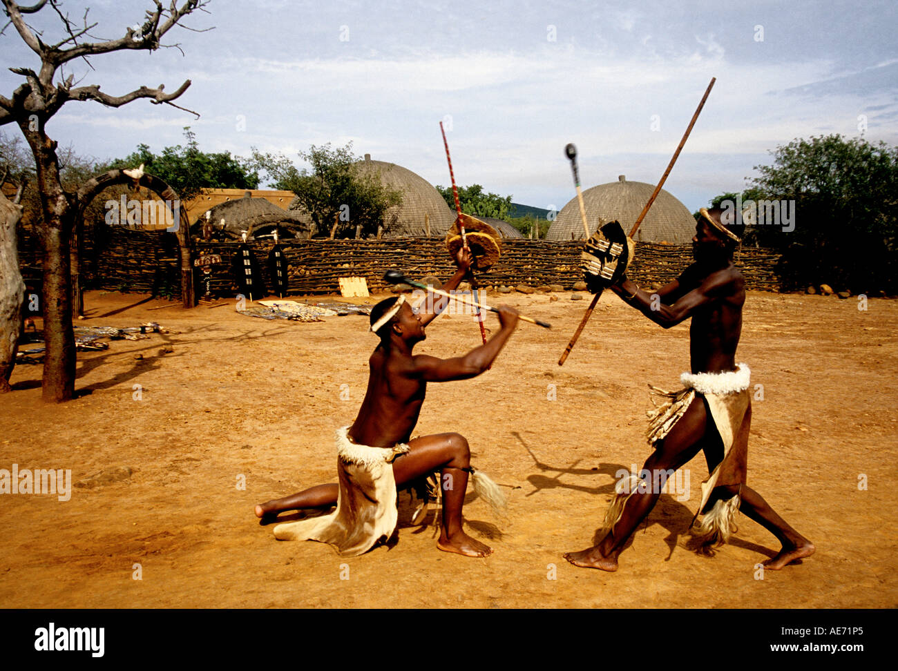Les guerriers zoulous démontrer à l'entraînement au combat dans le KwaZulu Natal, Shakaland Afrique du Sud Banque D'Images