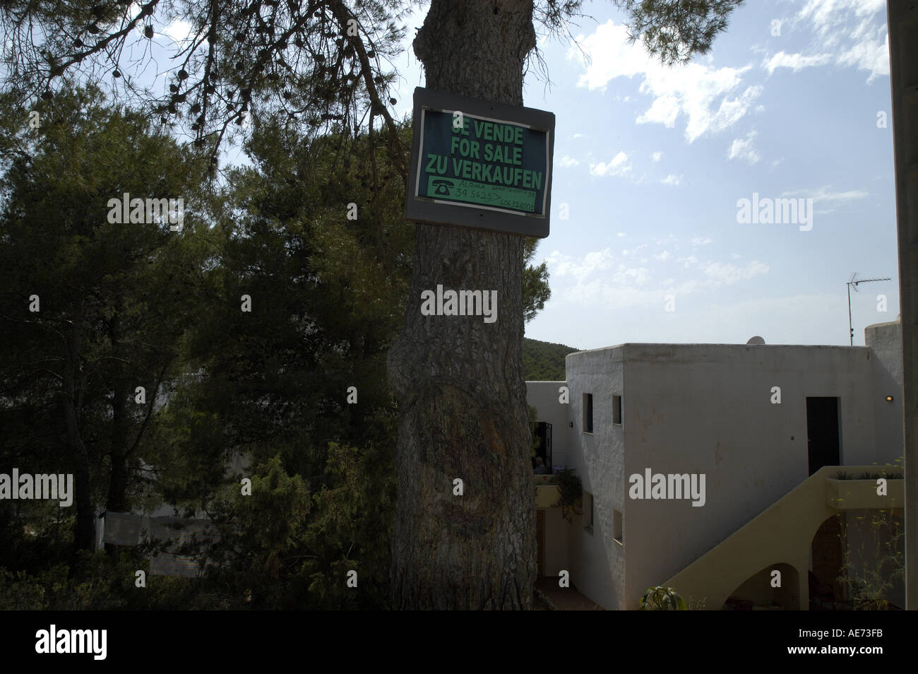 Es Figueral Es Portitxol Sant Joan de Labritja San Juan Ibiza Eivissa Espagne Baléares Banque D'Images