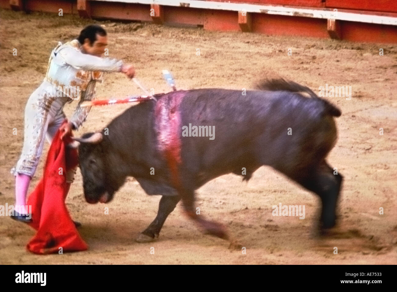 5072 MATADOR d'estoc épée dans Bull pour le tuer, à Tijuana, AU MEXIQUE Banque D'Images