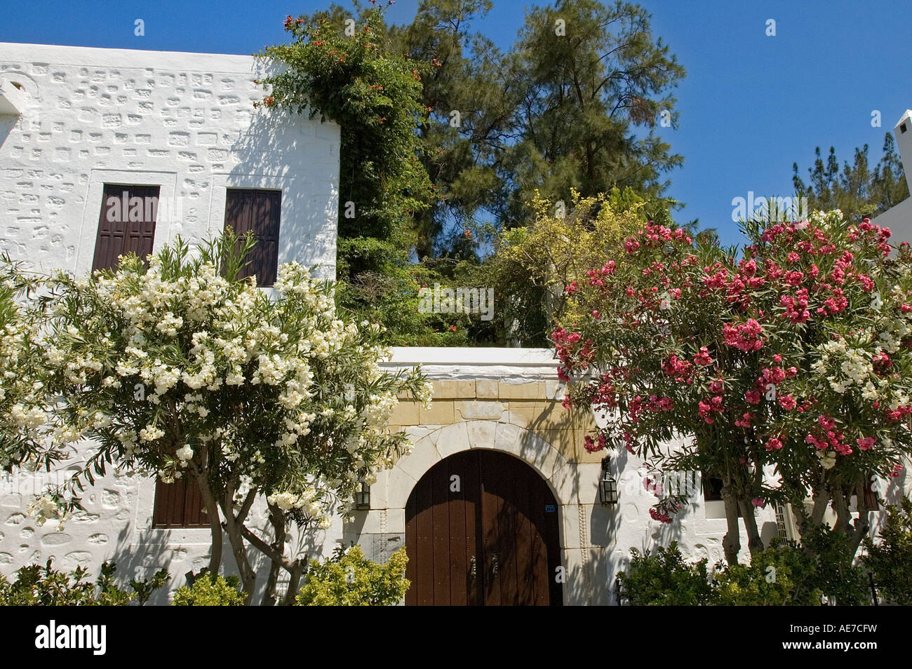 Maison typique de Bodrum , Mer , Turquie Banque D'Images