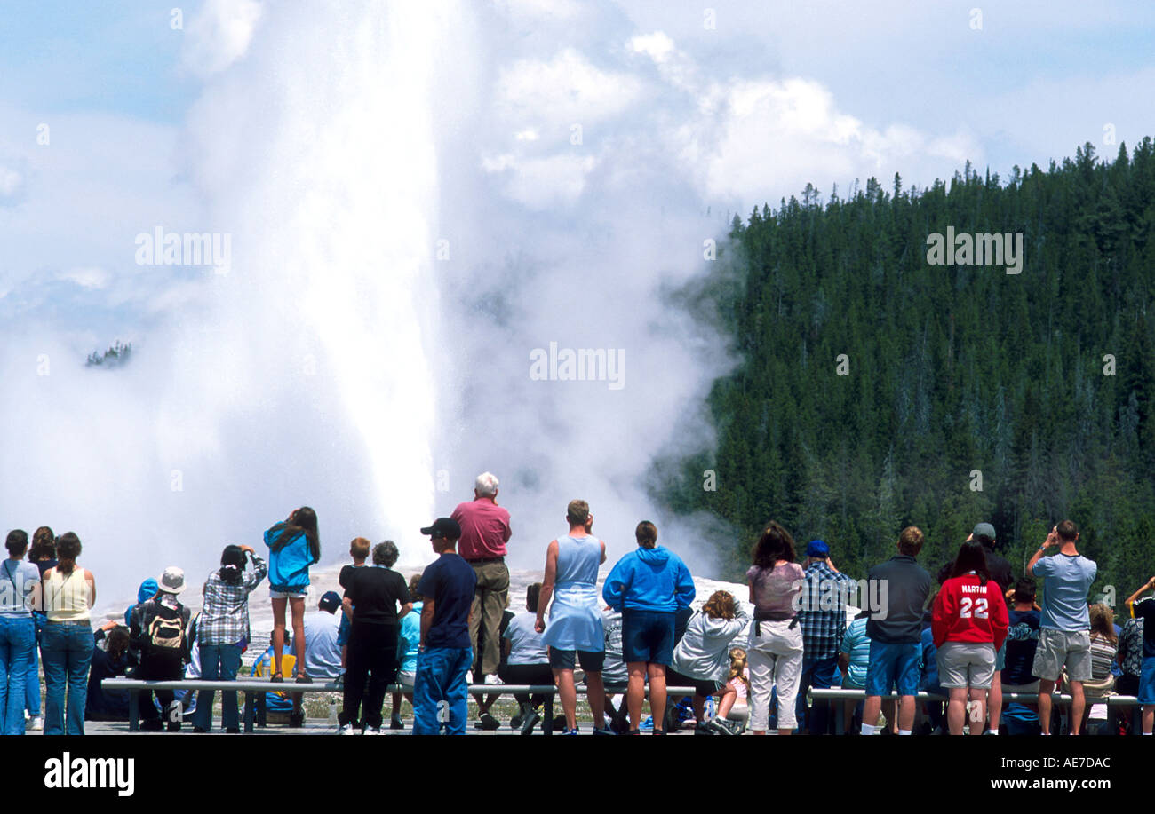 Les touristes visitant Old Faithful Geyser lors d'éruption dans le Parc National de Yellowstone au Wyoming Banque D'Images