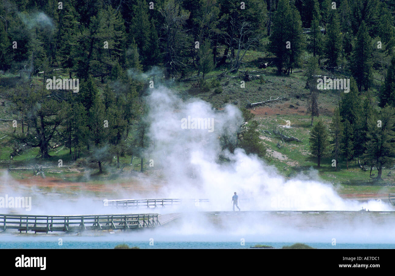 L'augmentation de vapeur géothermique de hot springs dans le Parc National de Yellowstone au Wyoming Banque D'Images