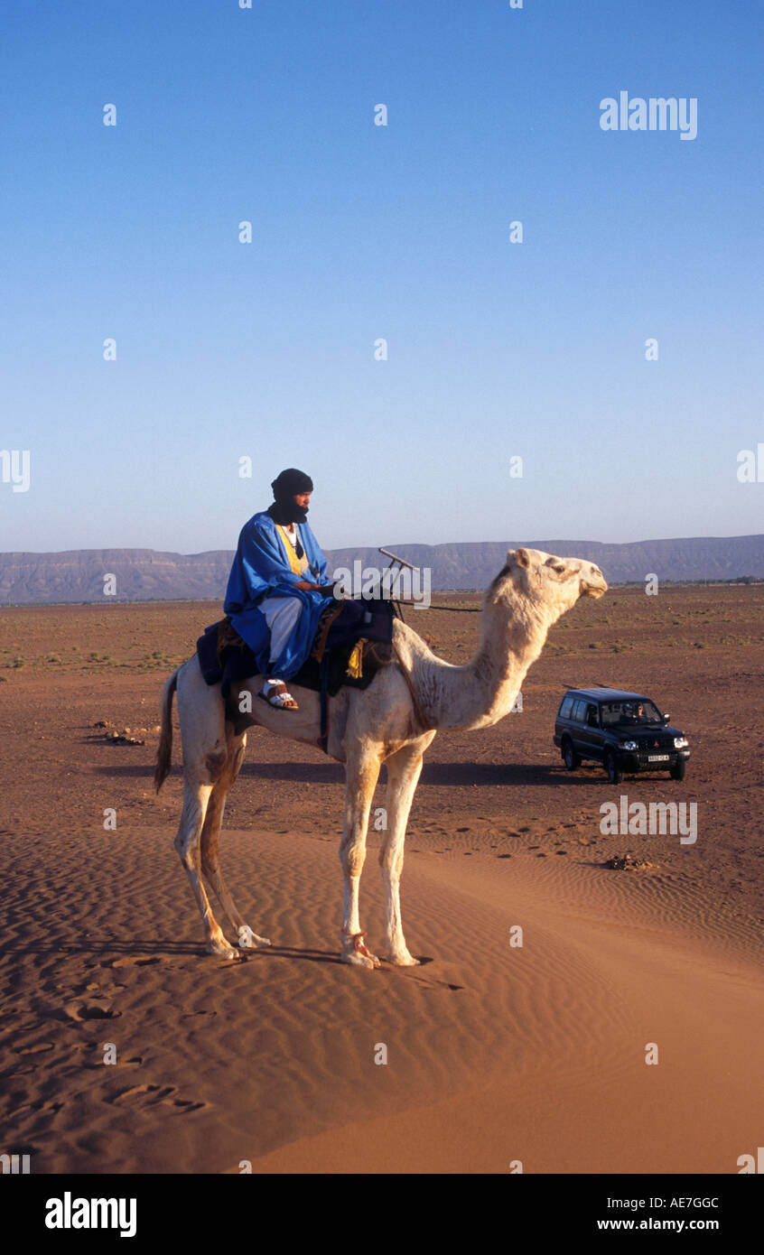 Le touareg Camel.désert du Sahara, Tinfou,Maroc.Afrique Banque D'Images
