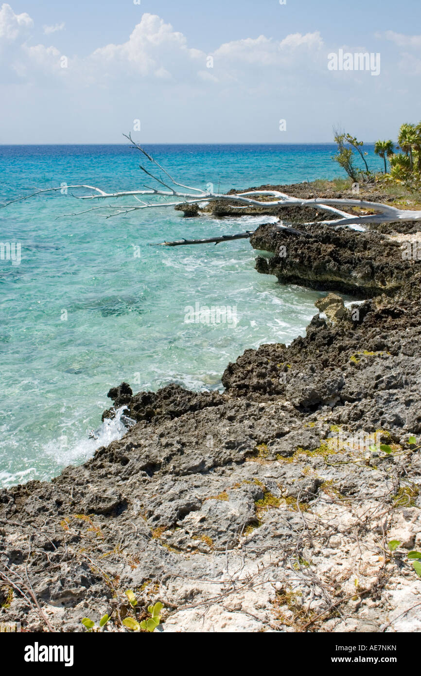 Littoral de la Baie des Cochons, Cuba Banque D'Images