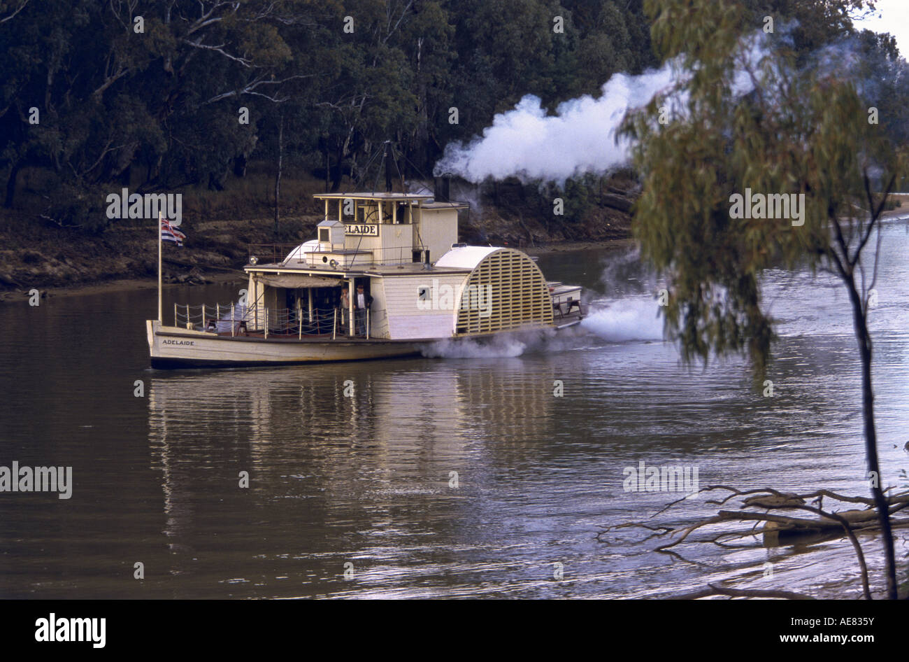 Bateau à aubes " Murray River, Australie " Banque D'Images