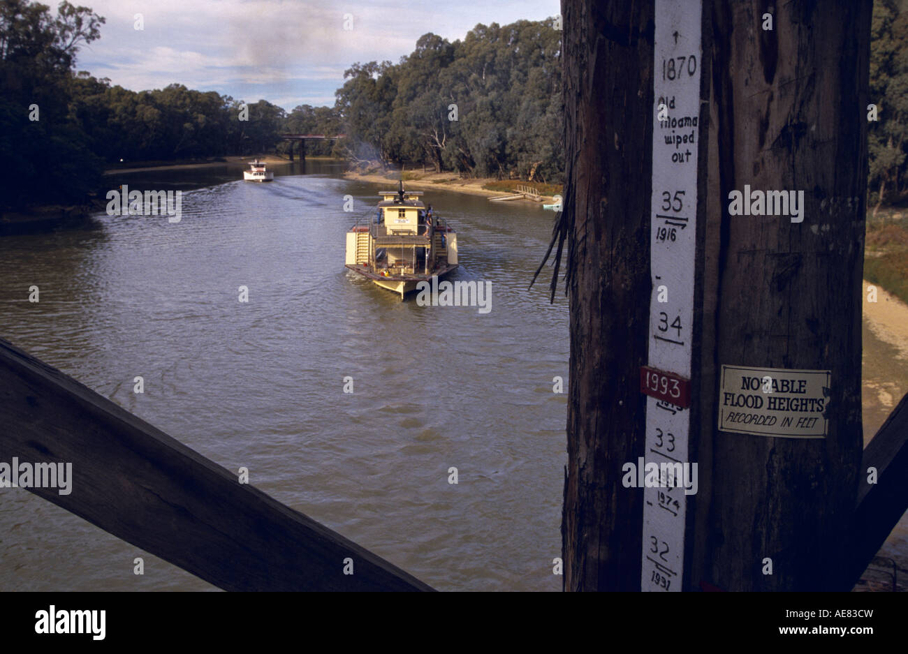 Bateau à aubes " Murray River, Australie " Banque D'Images