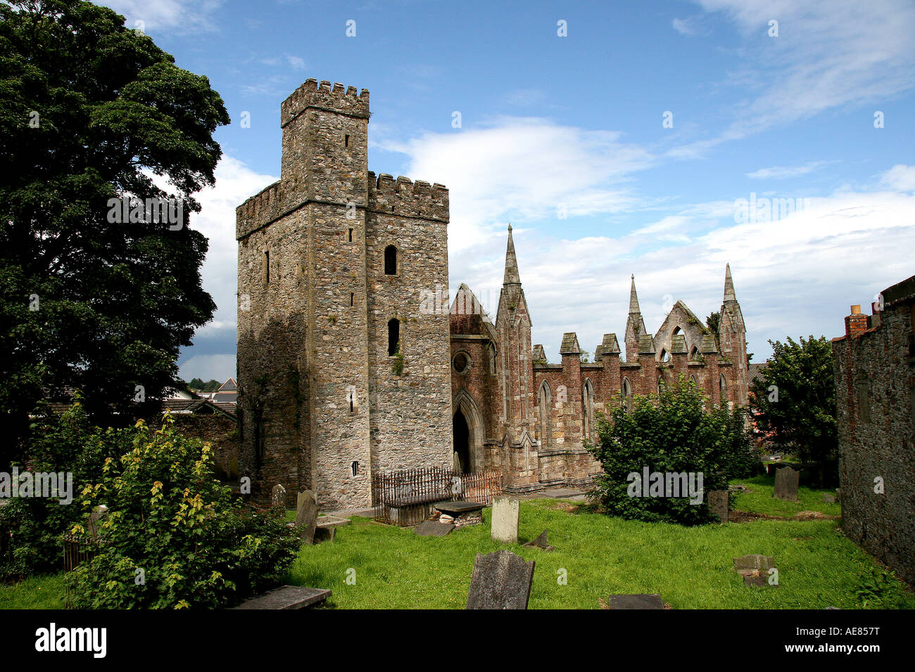 Abbaye de Selskar, Wexford, était en vigueur au moment de l'Invasion normande. Banque D'Images