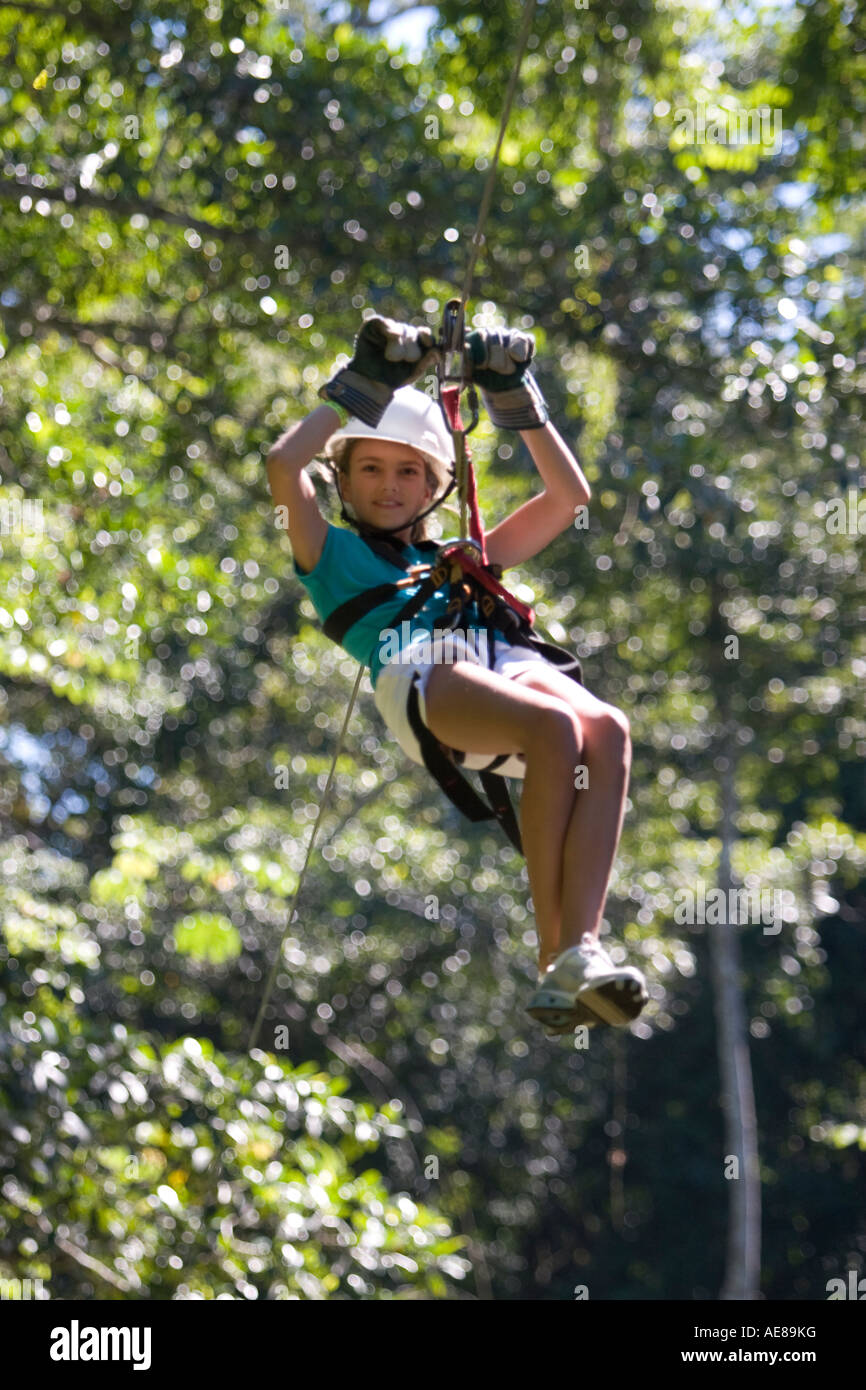 Canopy tree top tour Banque D'Images