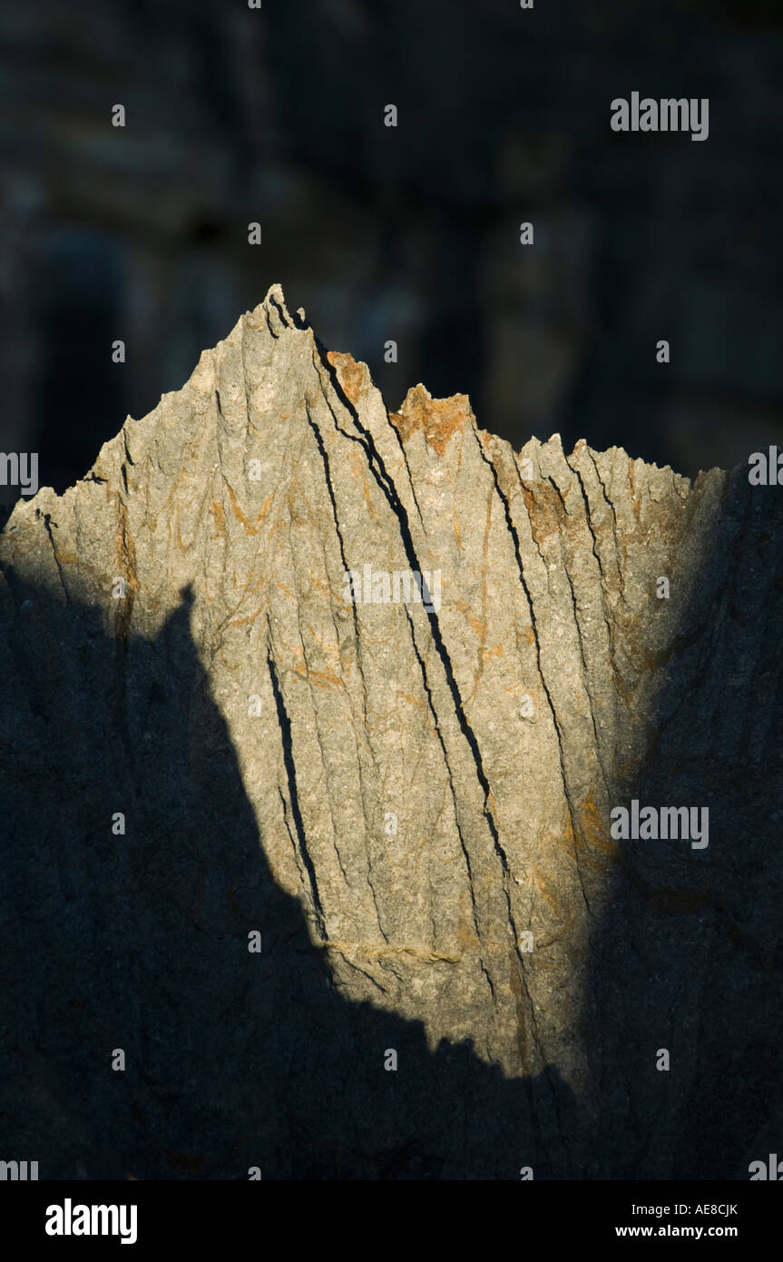 Calcaire érodé ou "tsingy" Détail des rochers escarpés en fin d'après-midi, lumière, Parc National d'Ankarana, Madagascar Banque D'Images