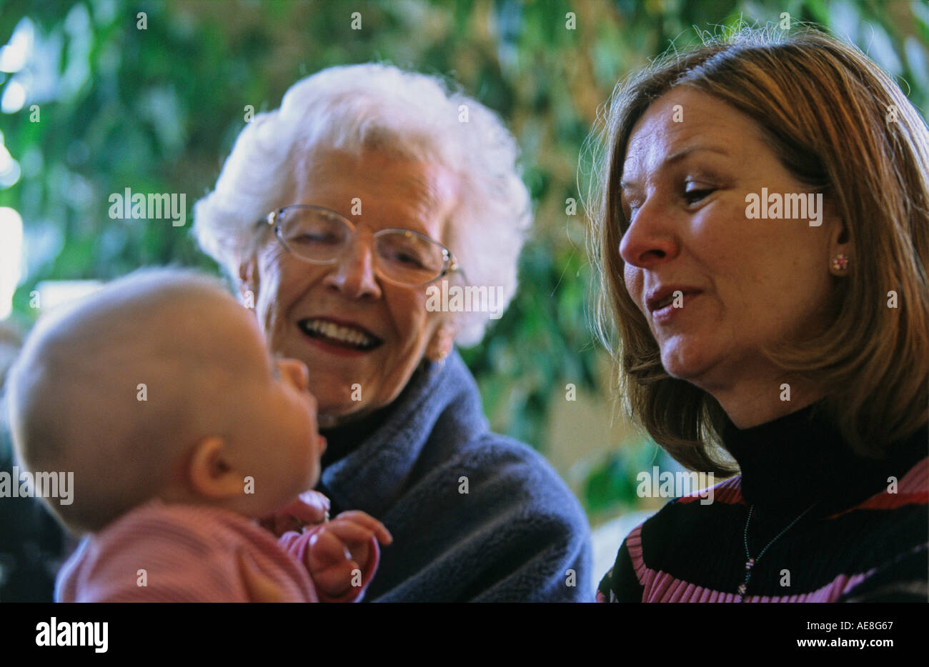 Trois générations de femmes de grand-mère bébé fille et grand-mère Banque D'Images