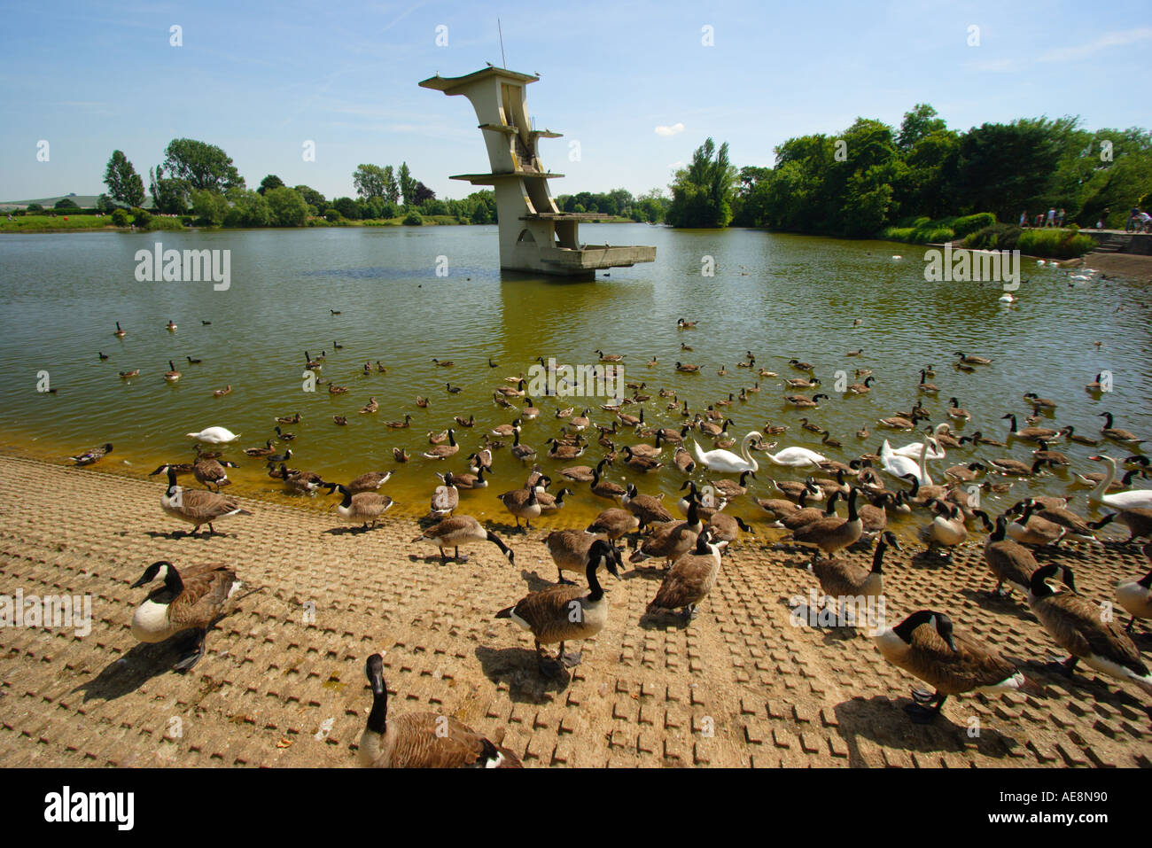 Coate Water Country Park Lake et plongeoir Swindon Wiltshire Banque D'Images