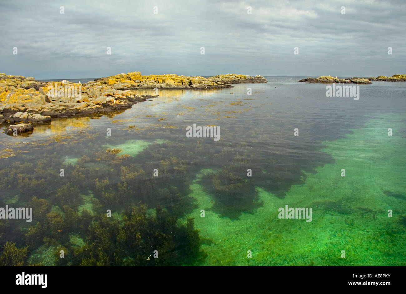 Les eaux claires entourant l'île de mai Firth of Forth en Écosse Banque D'Images