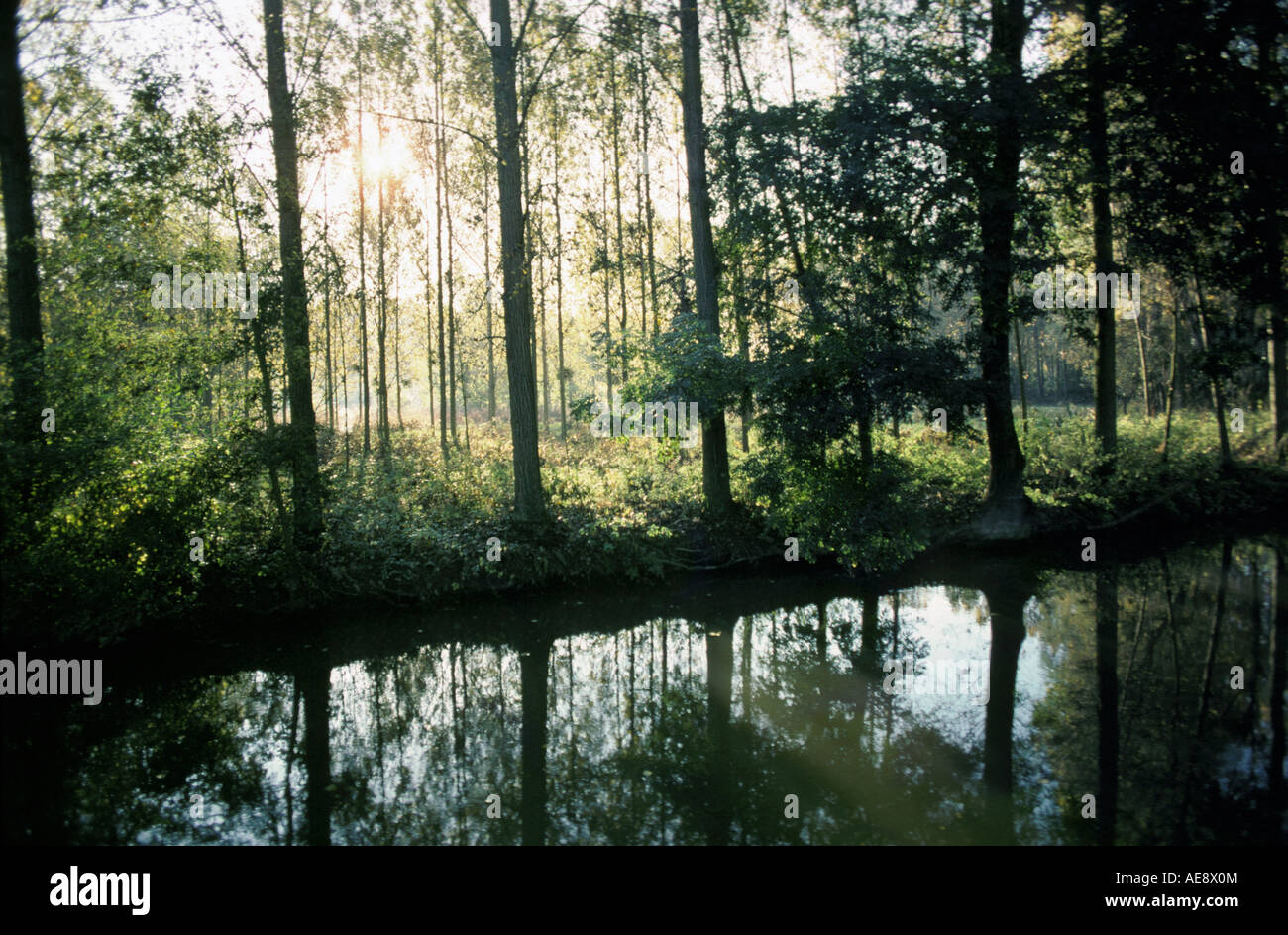 Loiret riviere Banque de photographies et d’images à haute résolution — free download