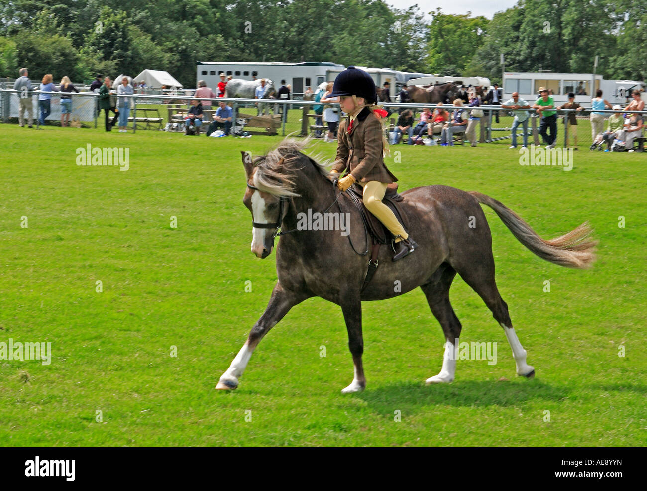 0029 Poney Club Show Kent Kent Angleterre Detling Banque D'Images