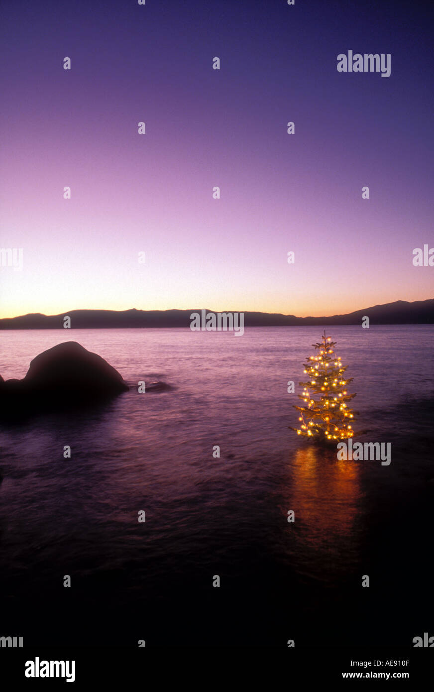 Arbre de Noël décoré de lumières dans la propriété de l'eau droit de parution Banque D'Images