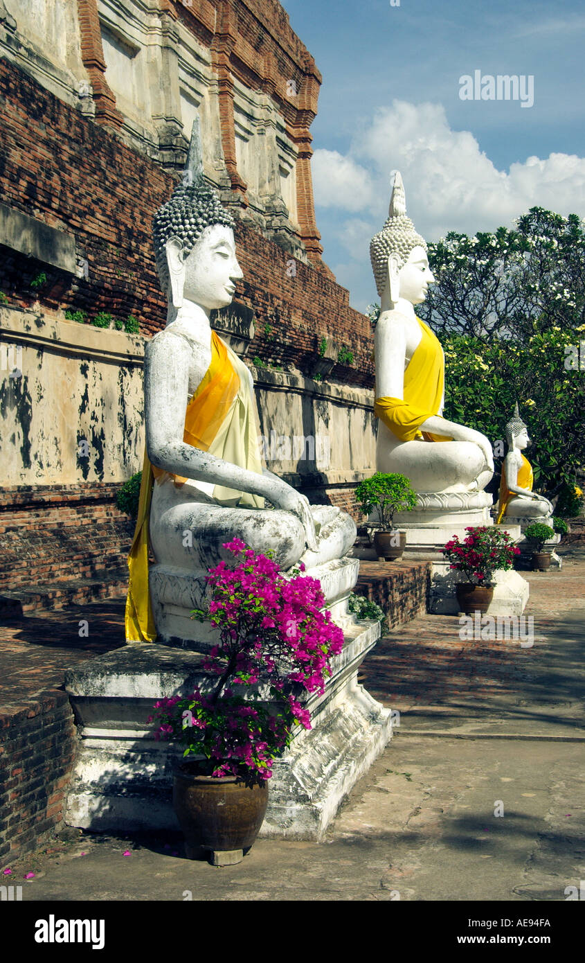 Wat Yai Chai Mongkol de rangées de petites et grandes statues de Bouddha dans un joli cadre archéologique à Ayutthaya, Thaïlande. Banque D'Images