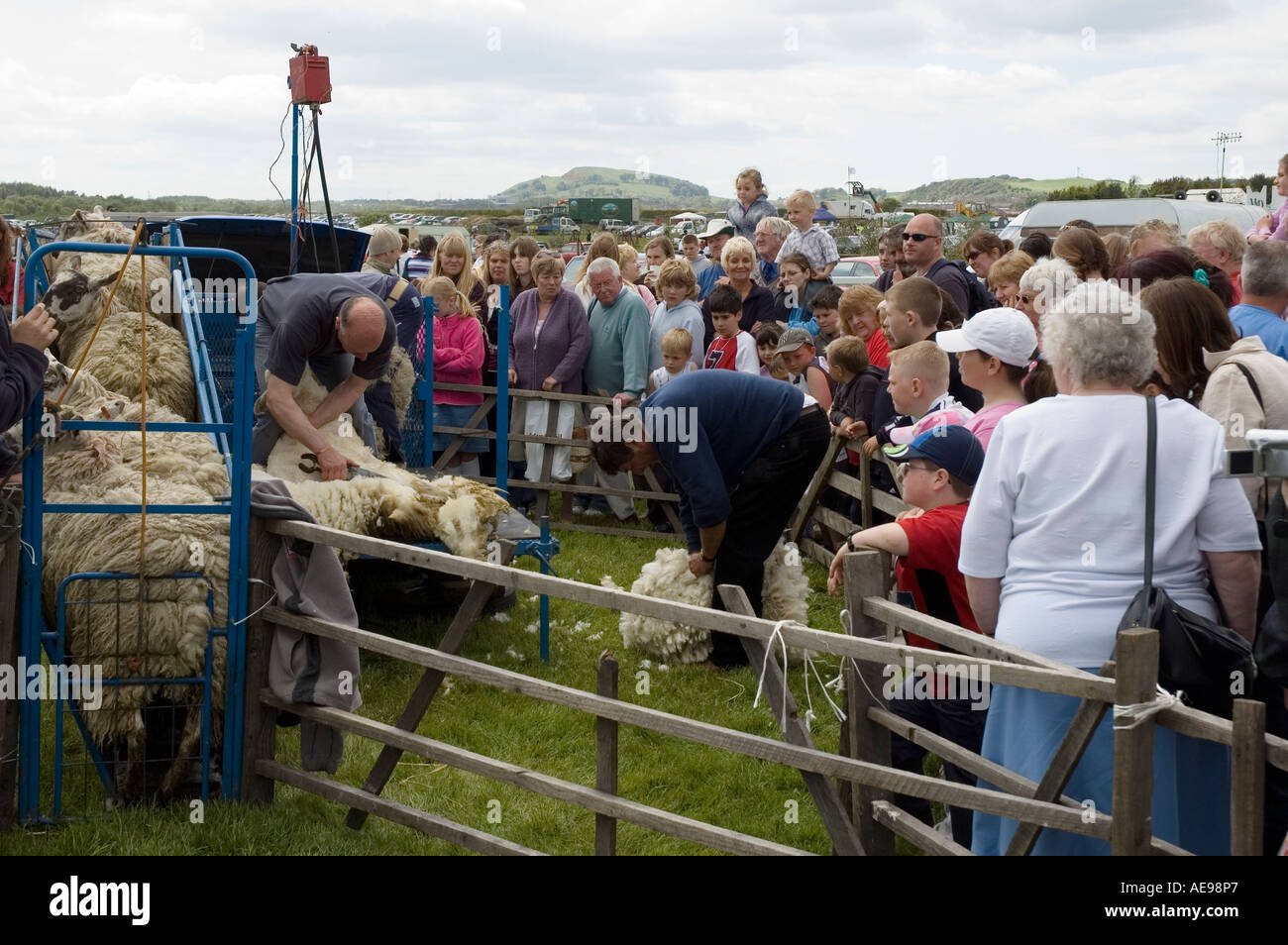 Regarder la foule de démonstration de la tonte des moutons au centre et l'ouest de l'Exposition agricole annuelle Fife Juin 2006 Banque D'Images