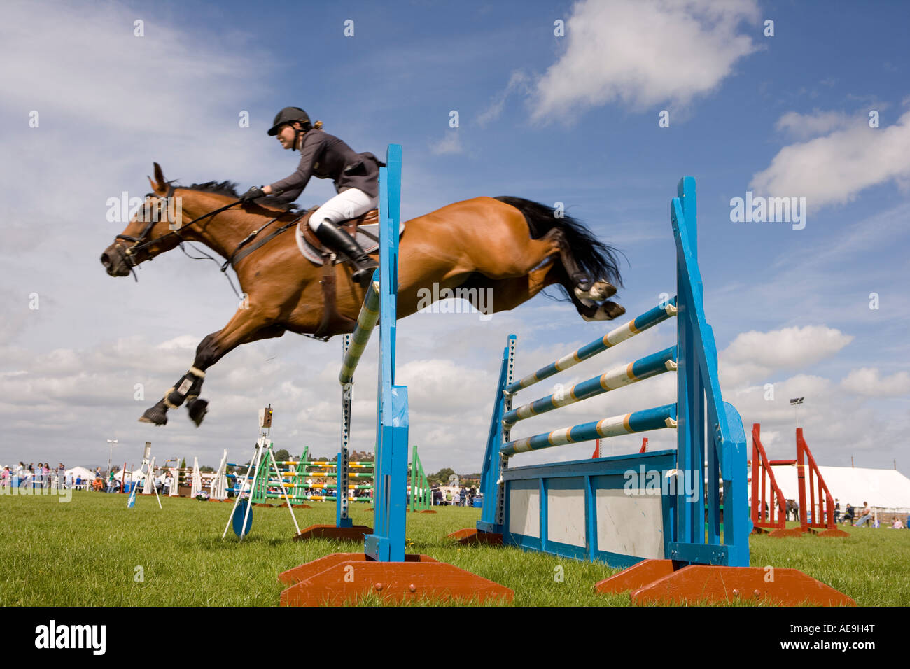 Sport équestre cavaliers equitation saut à cheval sur l'Agriculture et de sauts à Dumfries Scotland UK Banque D'Images