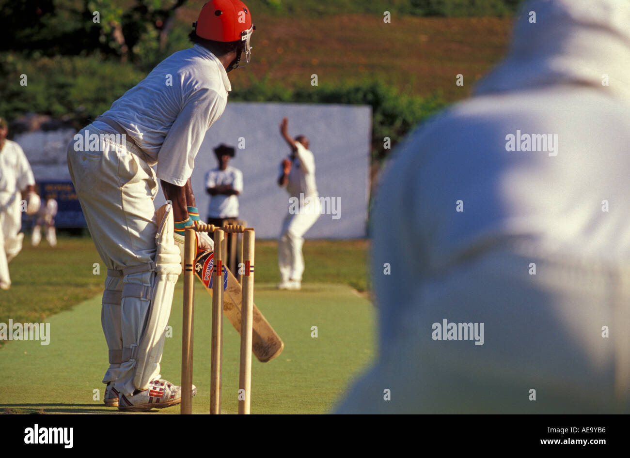 On joue au cricket cricket club à Nassau aux Bahamas sur l'île de New Providence Banque D'Images