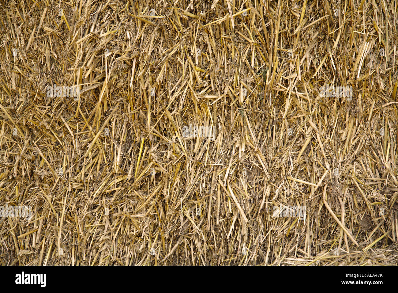 Botte de paille full frame Banque D'Images