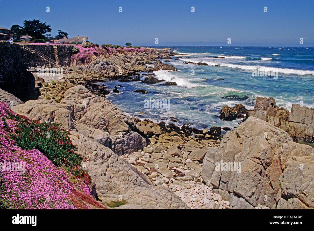 Le spectaculaire littoral de PACIFIC GROVE CALIFORNIE Banque D'Images