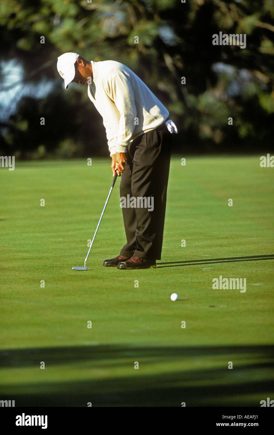 Tiger Woods est en compétition dans le tournoi de golf de la Californie. Banque D'Images