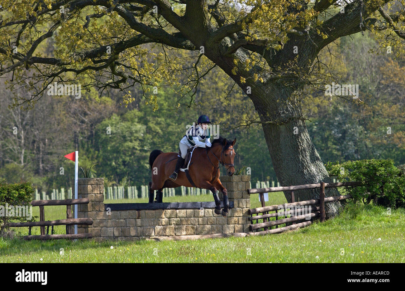 Jeune en compétition de cross-country événement hippique dans l'Oxfordshire avec son cheval de race Thoroughbred cross Cleveland Bay Banque D'Images