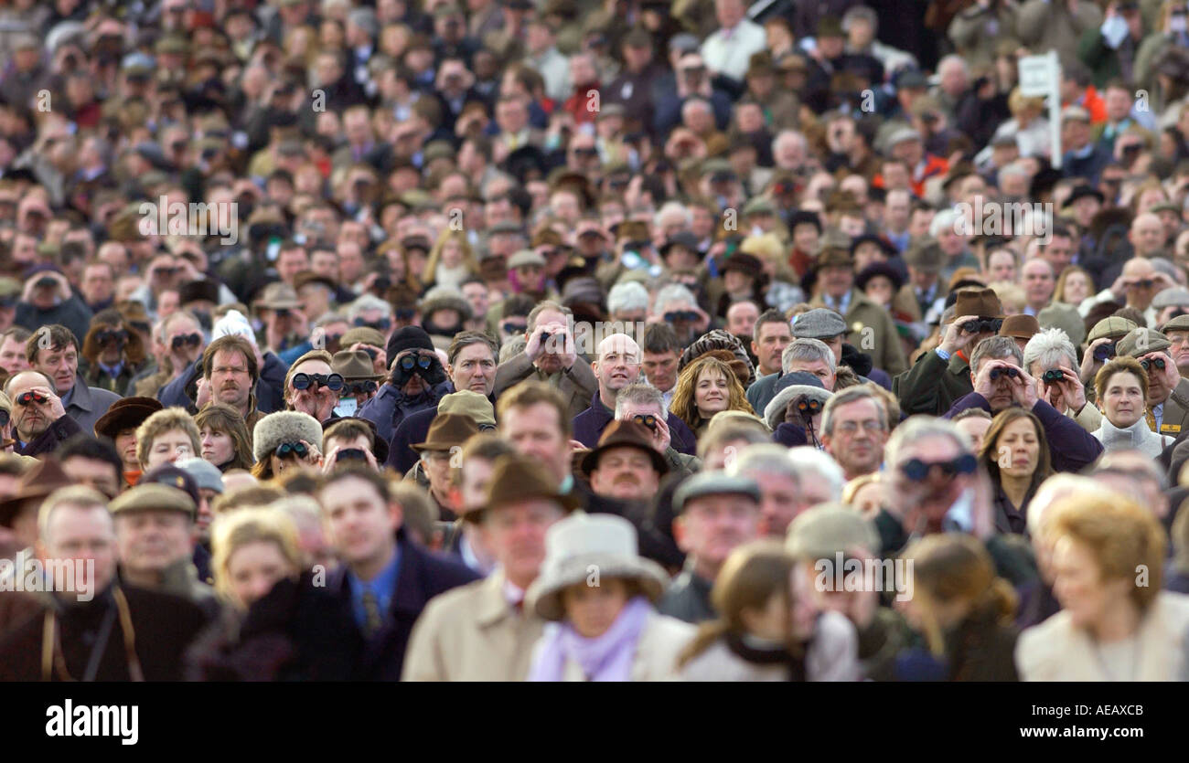 Festival de courses de Cheltenham foule utilisez des jumelles pour regarder les courses de chevaux Gloucestershire Banque D'Images