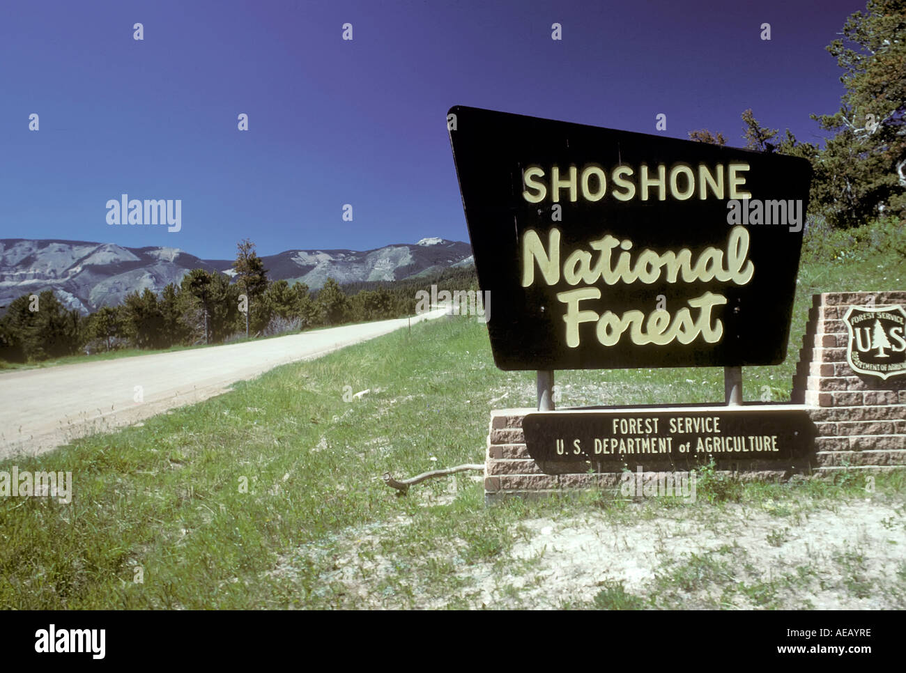 Entrée de la forêt nationale de Shoshone Wyoming Banque D'Images