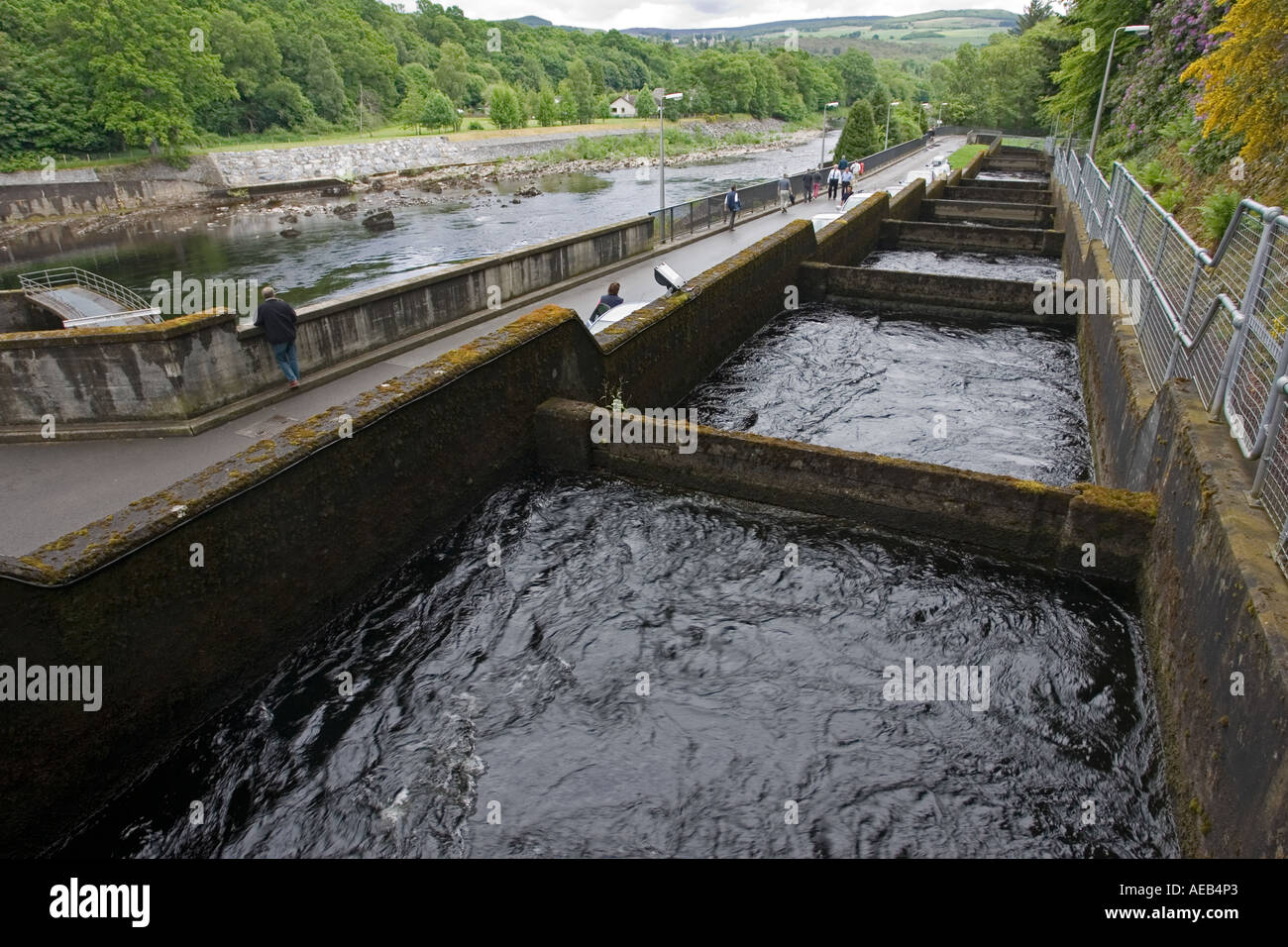 Salmon ladder Banque de photographies et d’images à haute résolution
