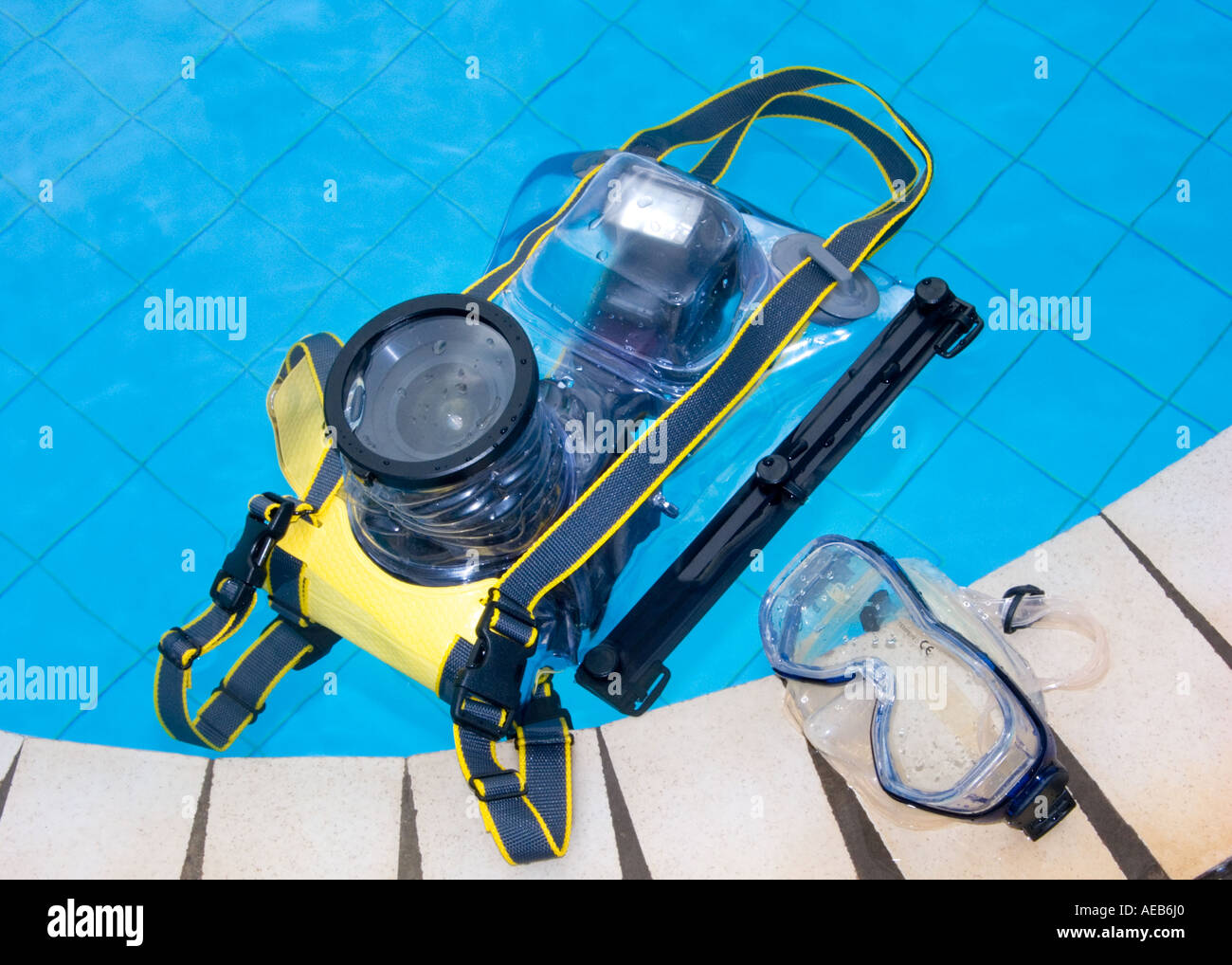 Appareil Photo Reflex Flash Lense Photographe Sous L Eau Sous L