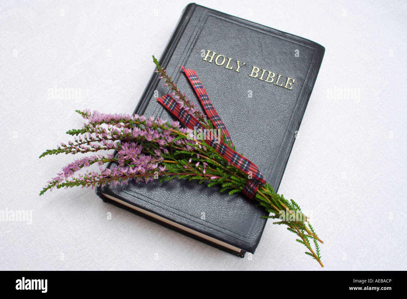 Sainte Bible et brin de Heather sur fond pâle Banque D'Images