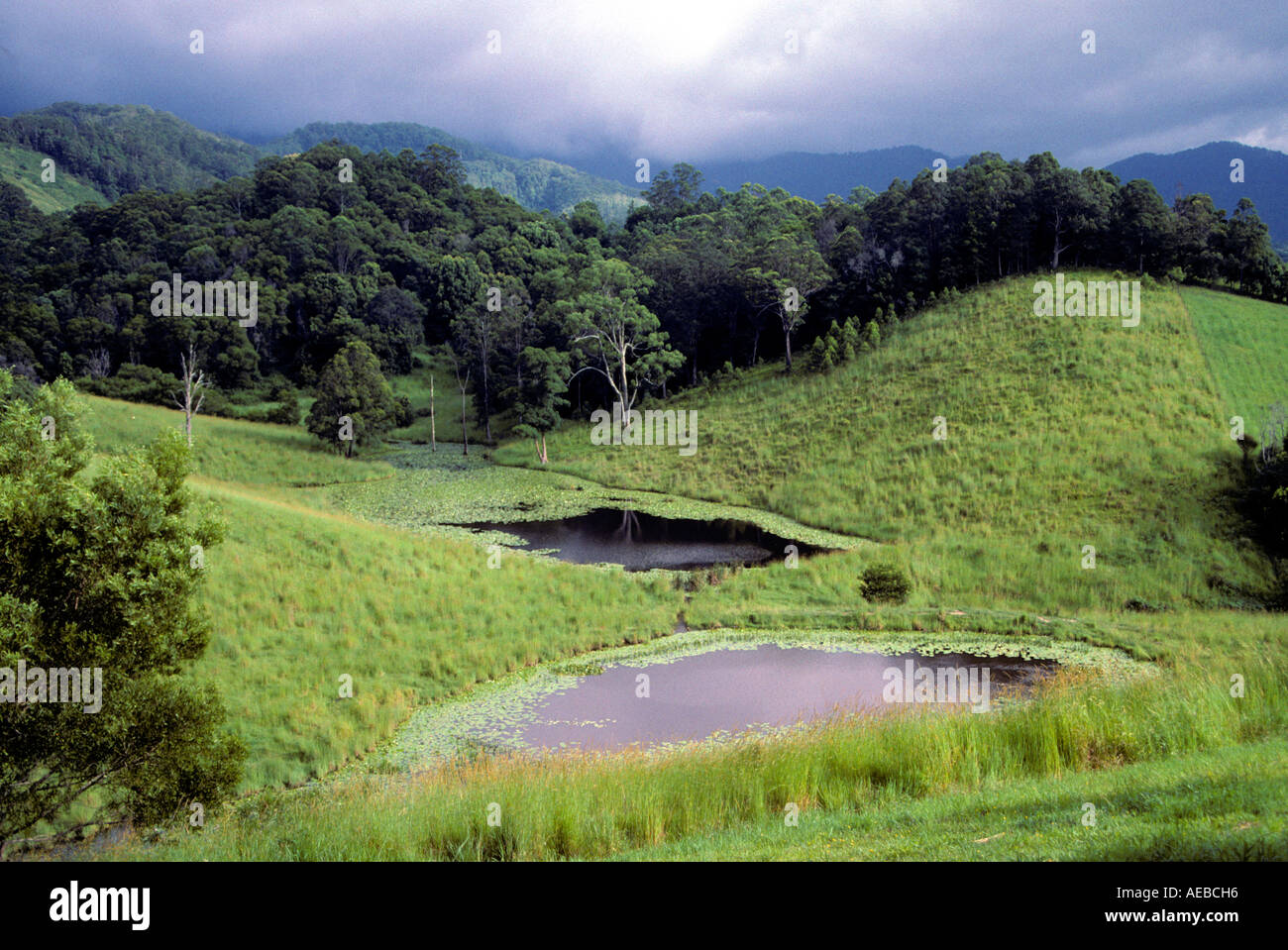 Parc national de Mount Warning , Australie Banque D'Images